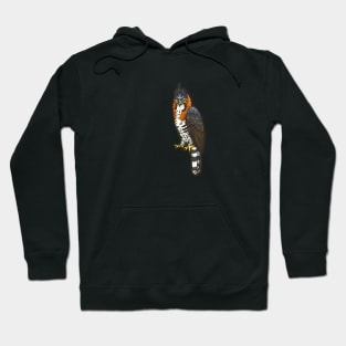 Ornate Hawk-Eagle Hoodie